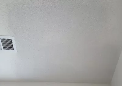 Professional House Painter